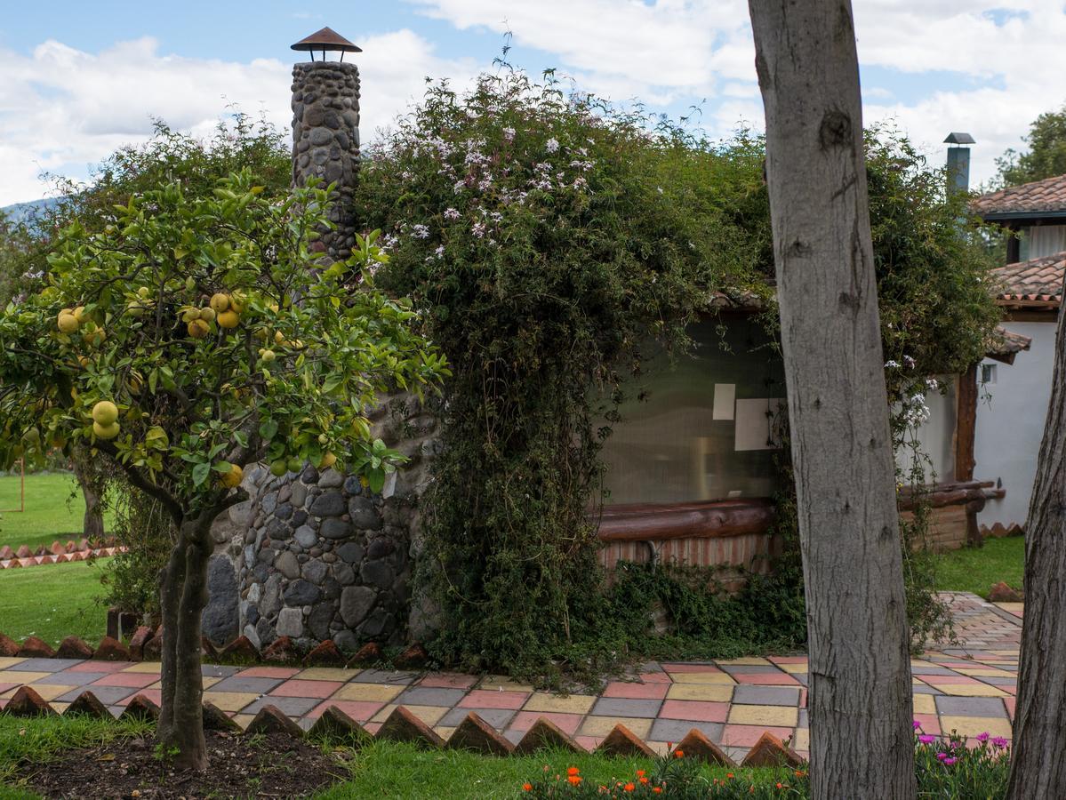 Zaysant Ecolodge Puembo Exterior foto